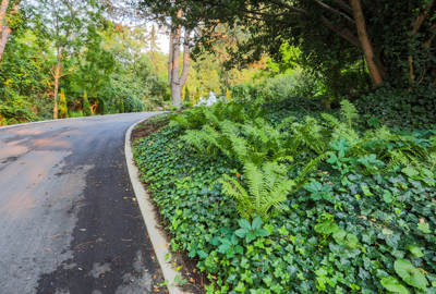 Refined image lawn and landscape, softscapes, snow & ice, lawn cutting & maintenance, residential & commercial lawn care, dunnville, ON